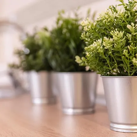 Borici アパート ソコバニャ