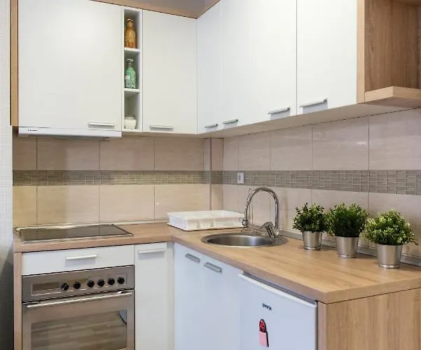 Apartament Borici Soko Banja