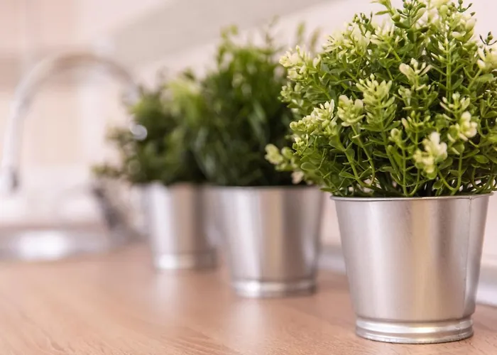 Borici Apartament Soko Banja